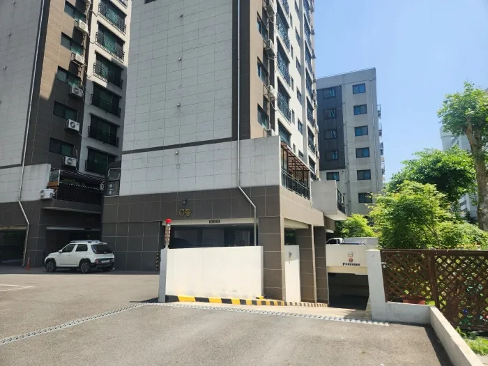 사진 11