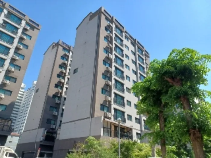 사진 2