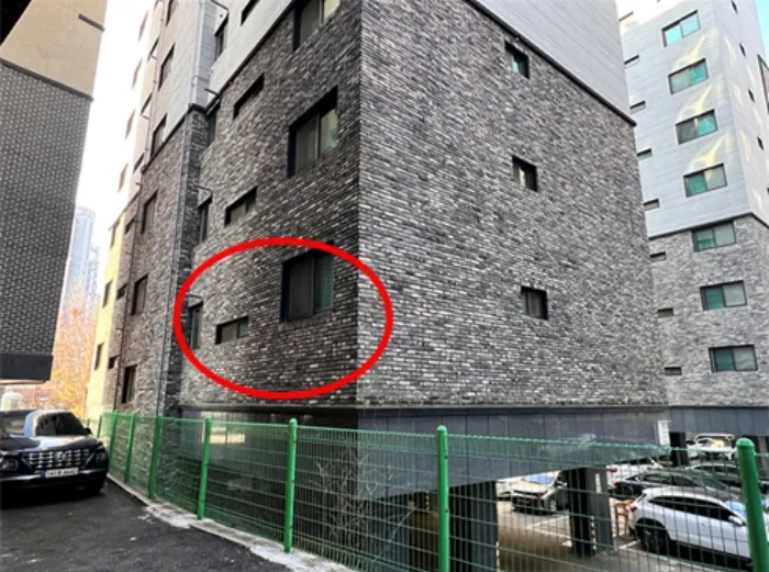 사진 6
