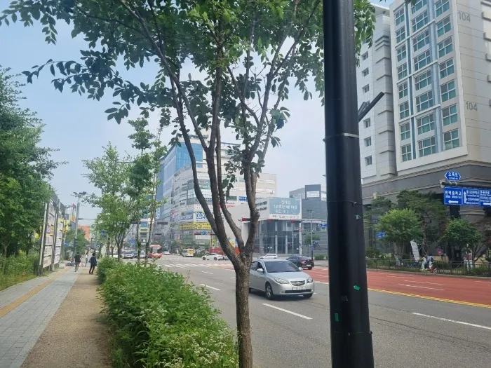 사진 11