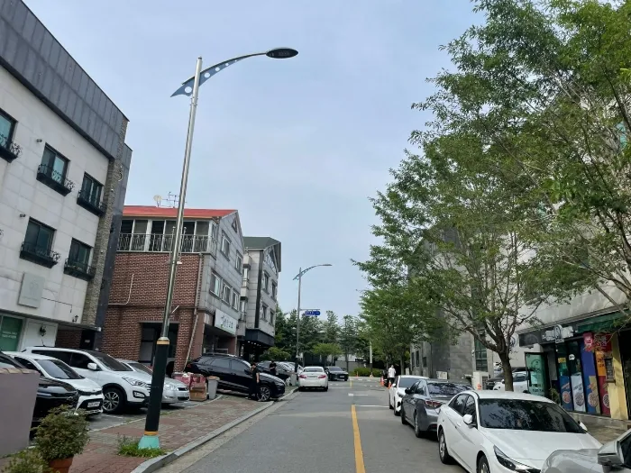 사진 26