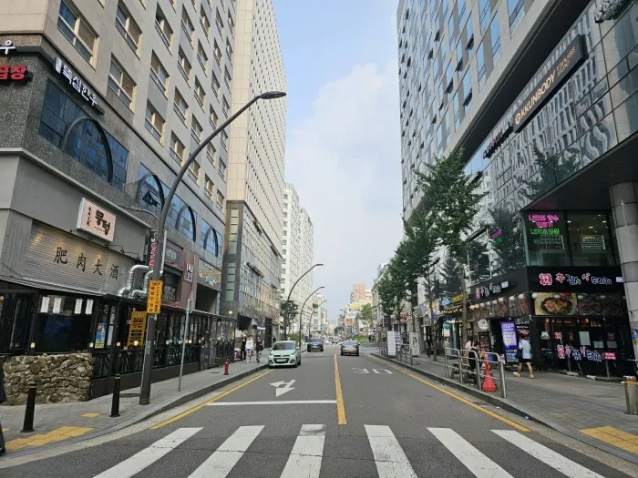 사진 14