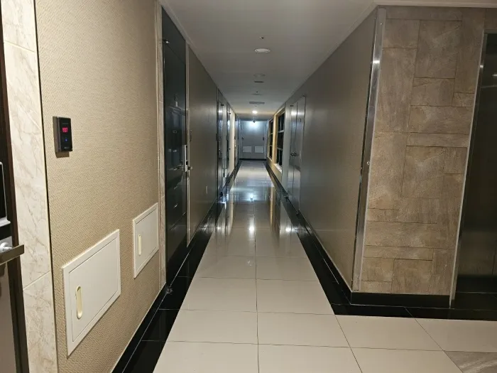 사진 6