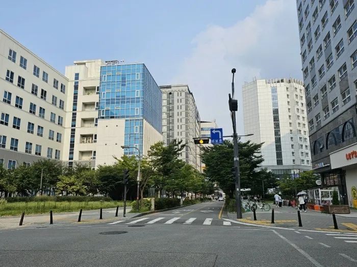 사진 8