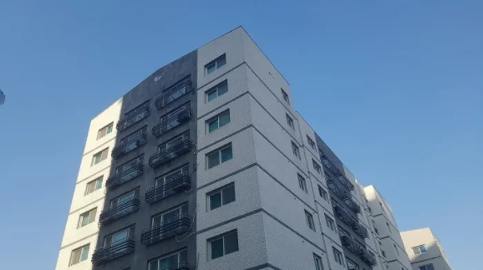 사진 2