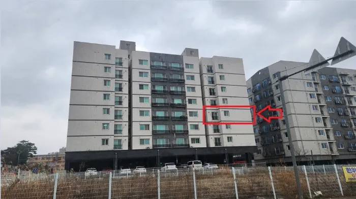 사진 5