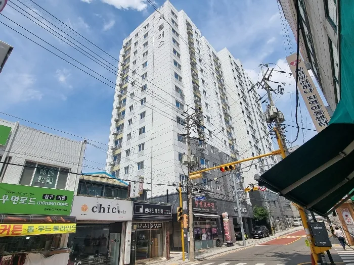 사진 10