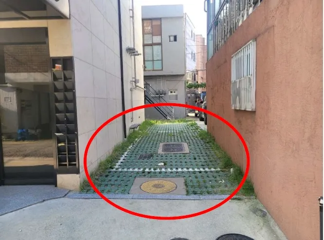 사진 6