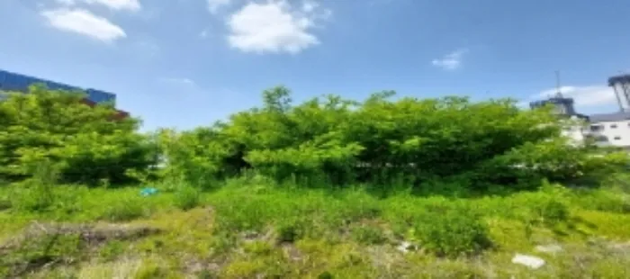 사진 10