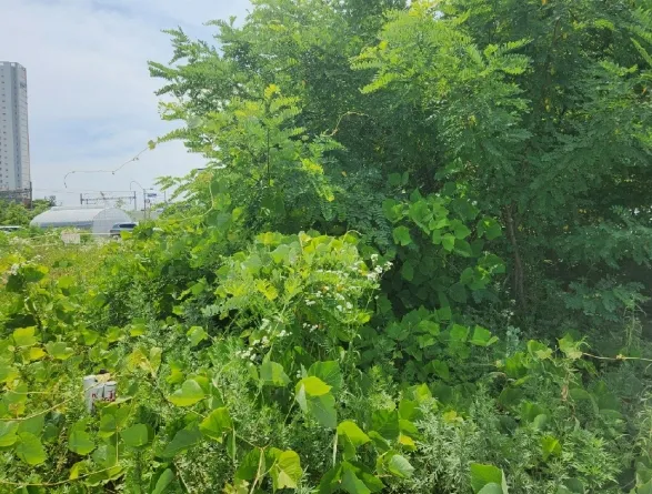 사진 3