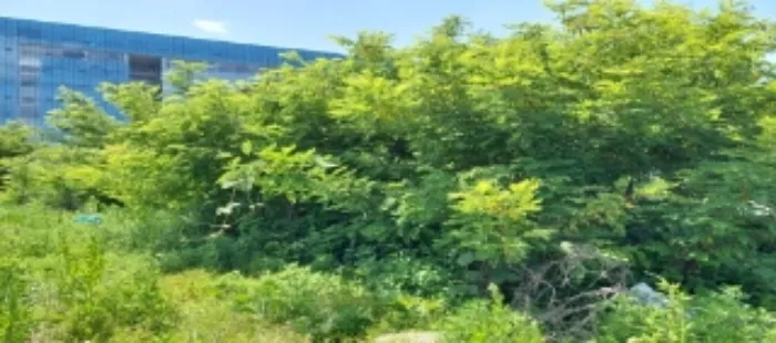 사진 9