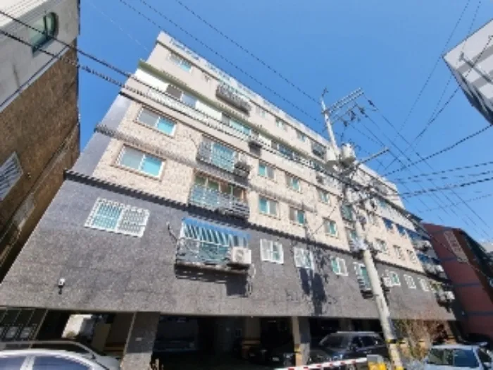 사진 3