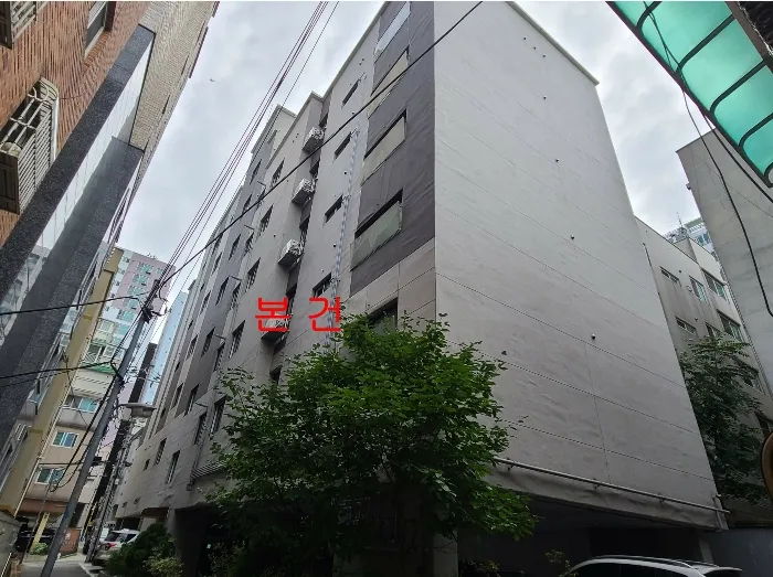 사진 7