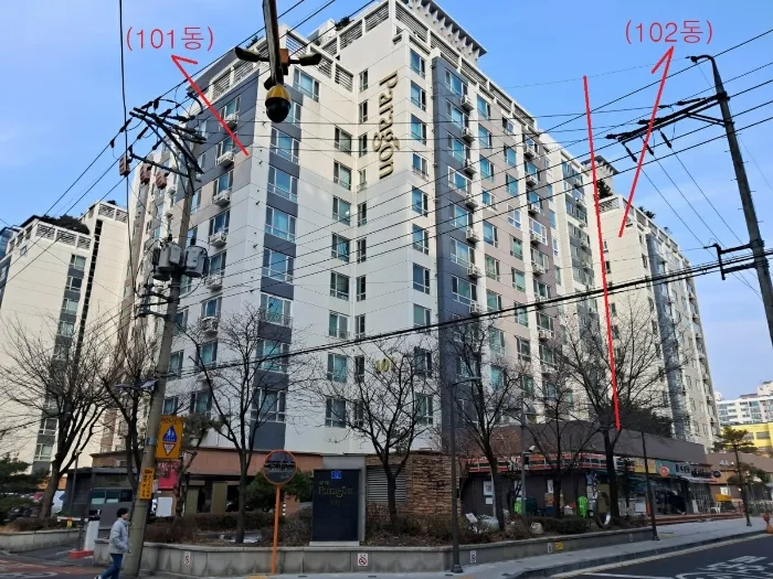 사진 5