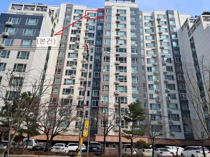 사진 8