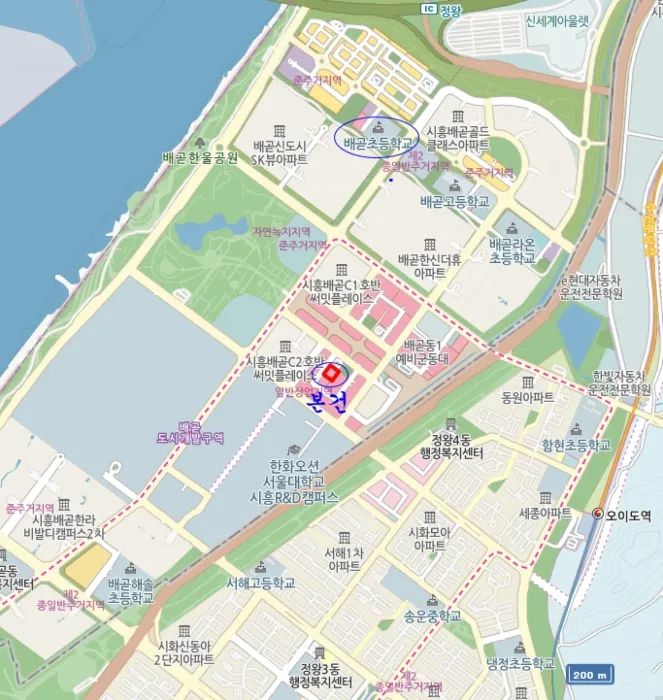 사진 10