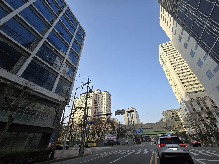 사진 10
