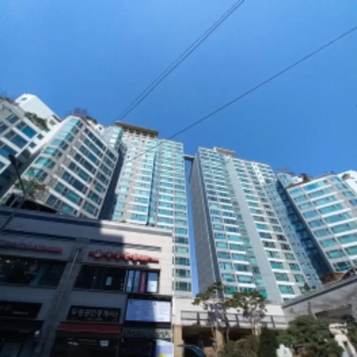 사진 2