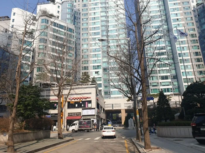 사진 5