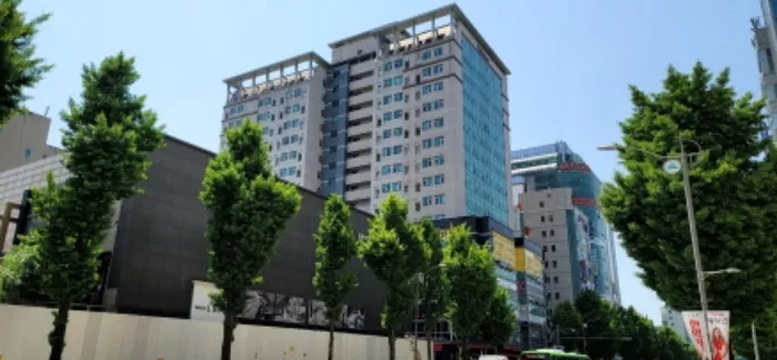 사진 2