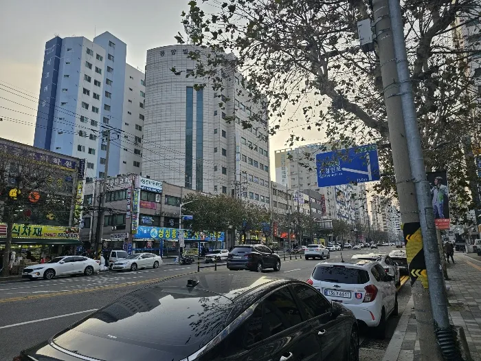 사진 10
