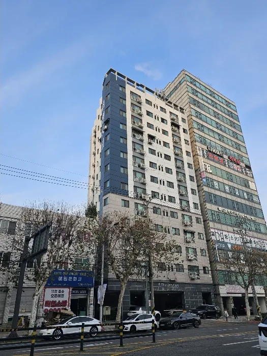 사진 8