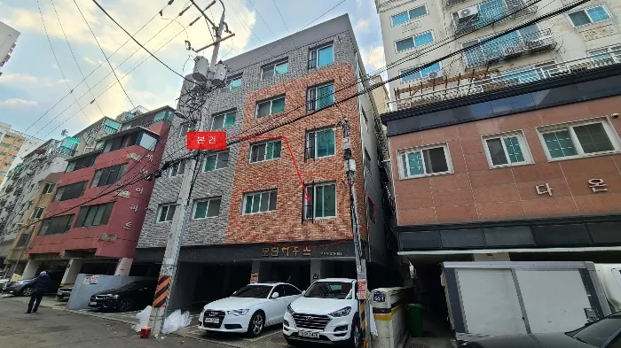 사진 5