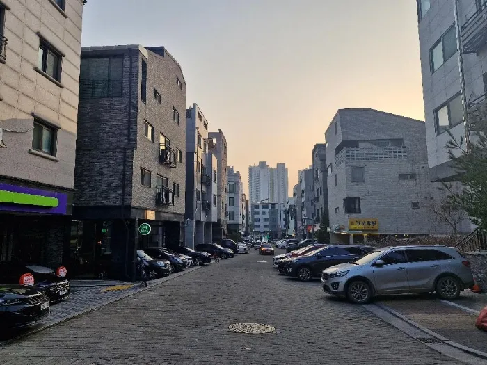 사진 21
