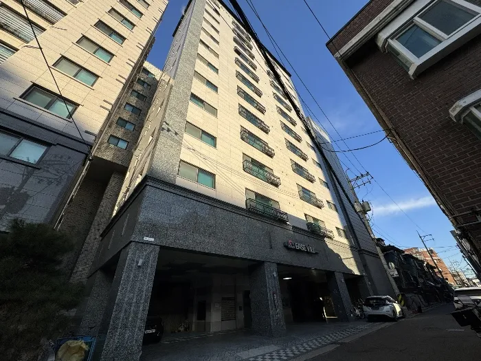 사진 5
