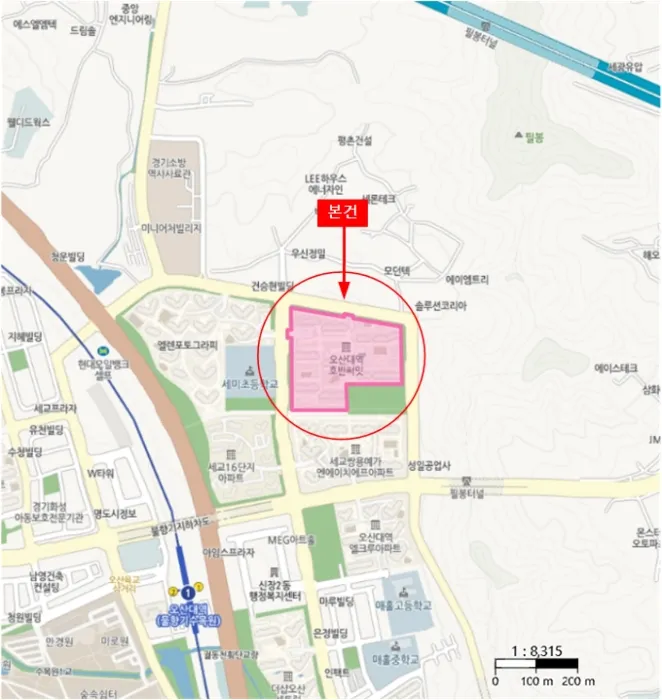 사진 13