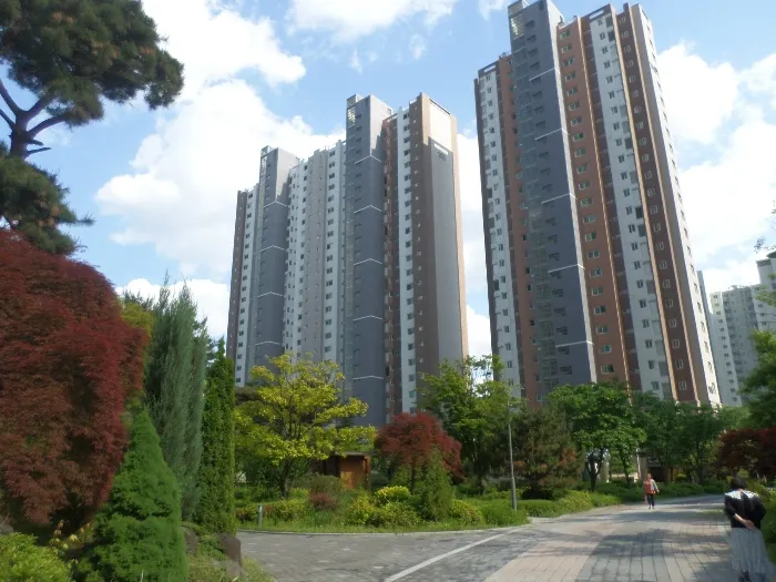 사진 5