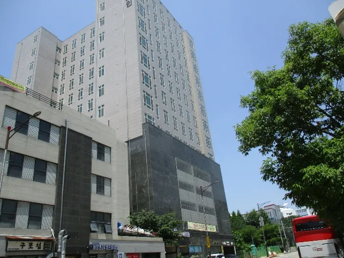 사진 5