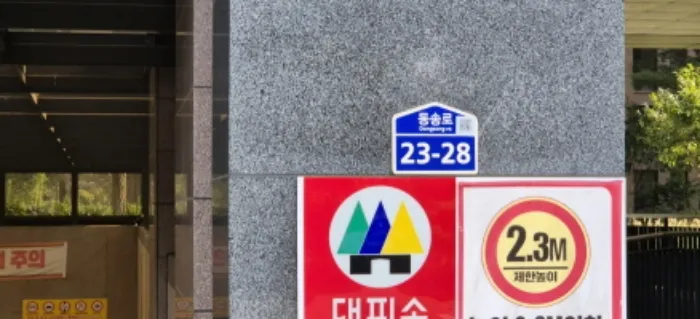 사진 2