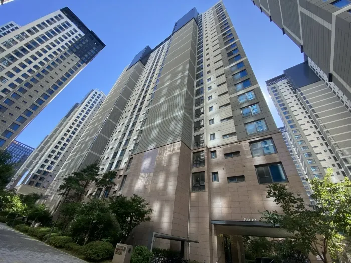 사진 5