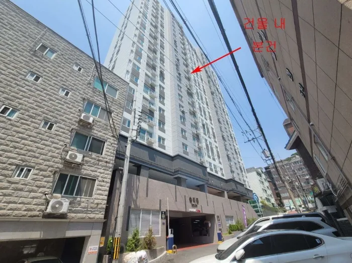 사진 5