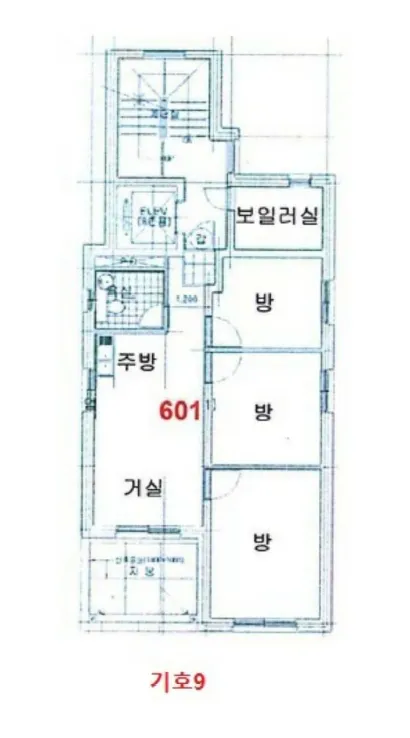 사진 9