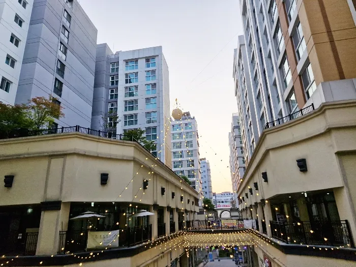 사진 17