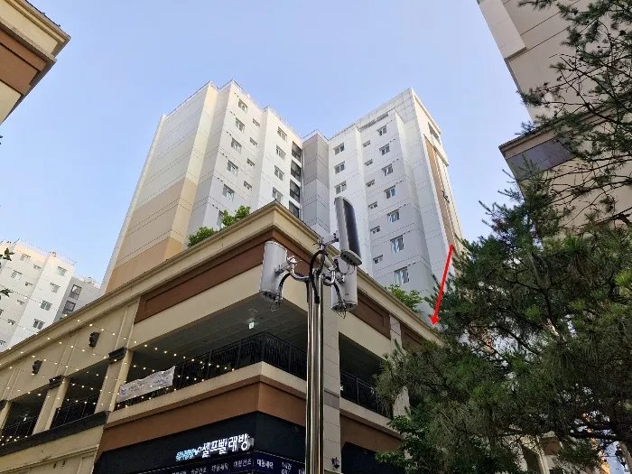 사진 9