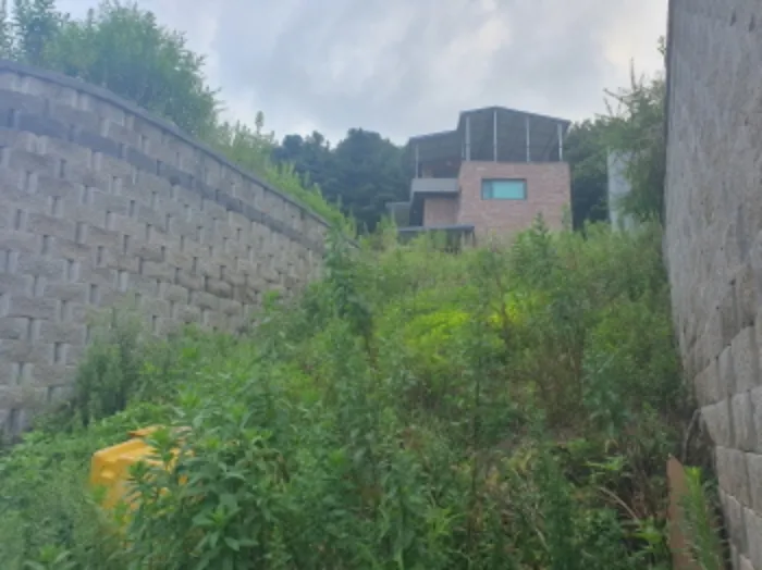 경기도 남양주시 호평동 555-58