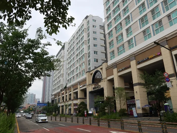 사진 9