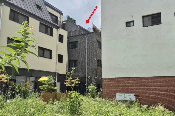 사진 11