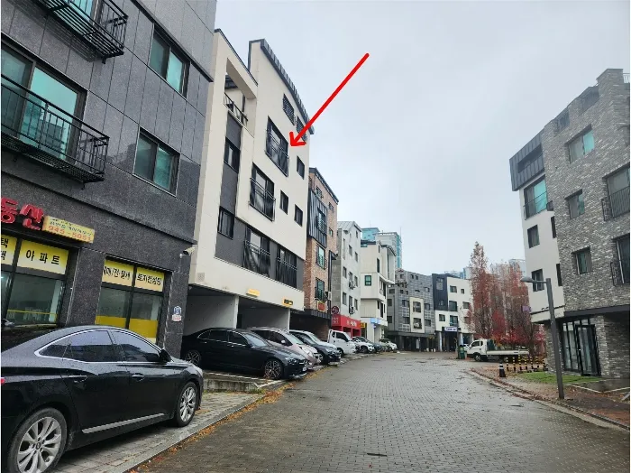 사진 21
