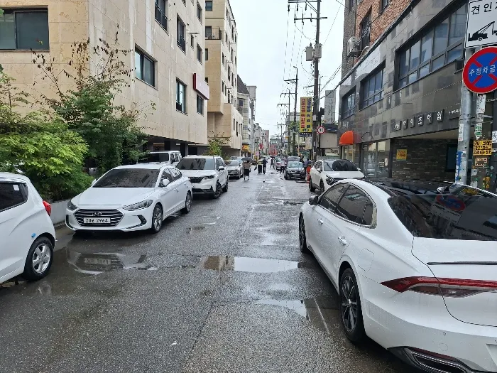 사진 8