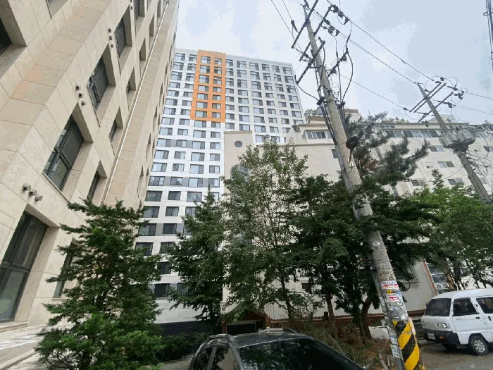 사진 5