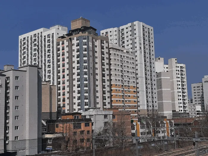 사진 10