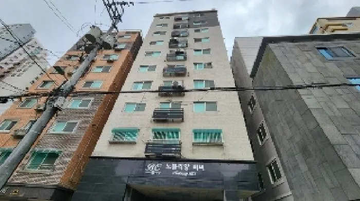 사진 2