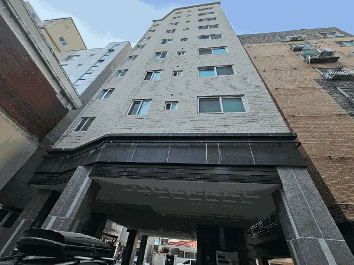 사진 8