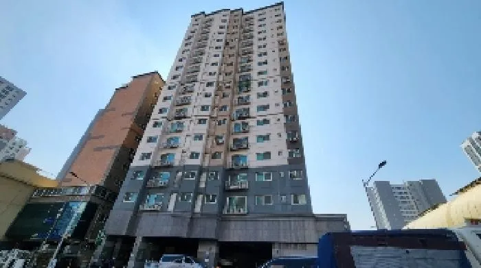 사진 4