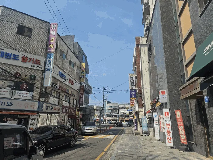 사진 5