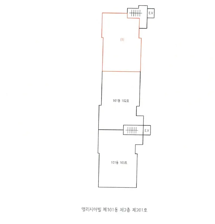 사진 12